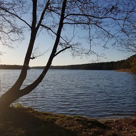 Rum i privatbostad Gosciniec Kaszubski Las, Ruda 3 *