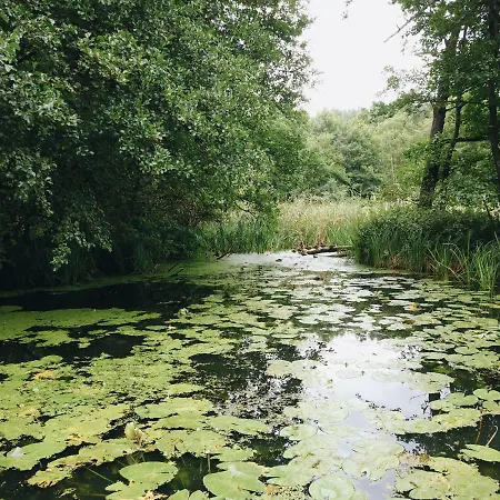 Gosciniec Kaszubski Las, Ruda 3 בית אירוח