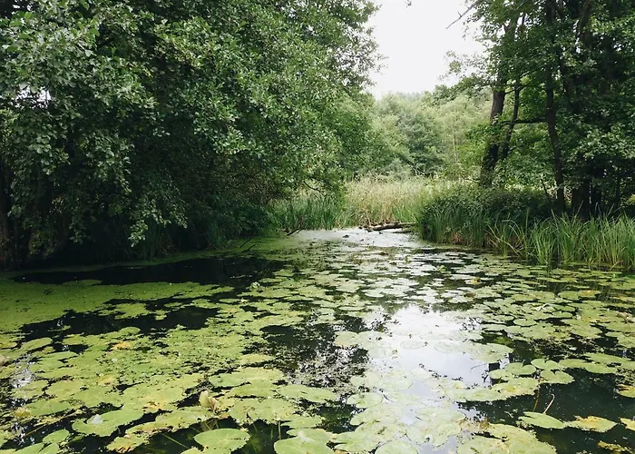 Gosciniec Kaszubski Las, Ruda 3 Δωμάτια σε οικογενειακή κατοικία